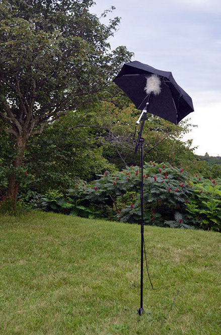 PLACE umbrella